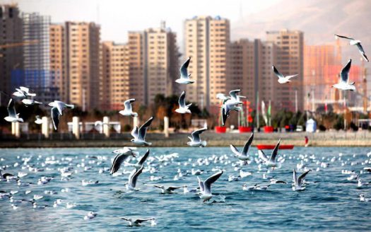 دریاچه چیتگر تهران دریاچه چیتگر